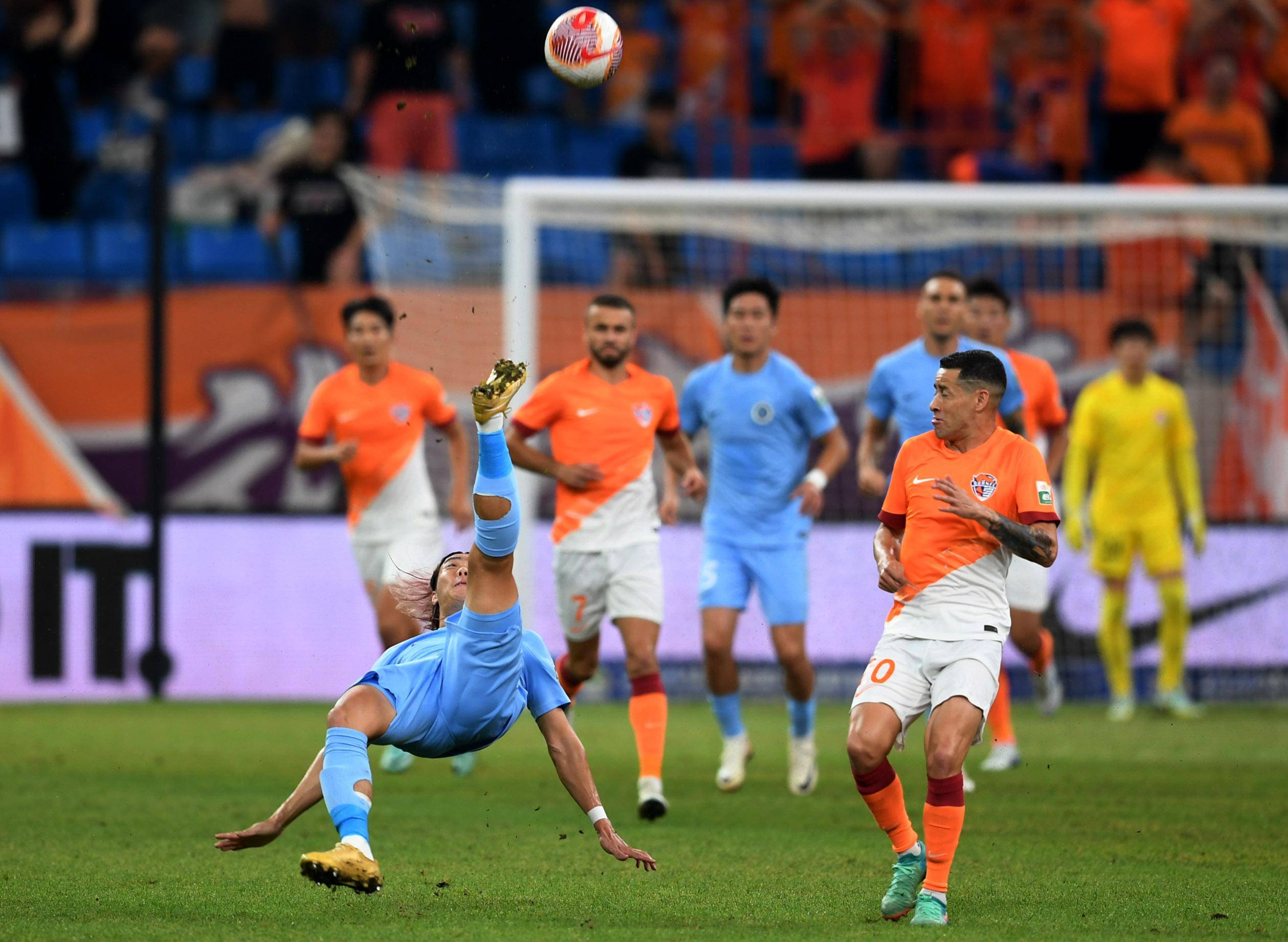 乒乓球的长 乒乓球的长